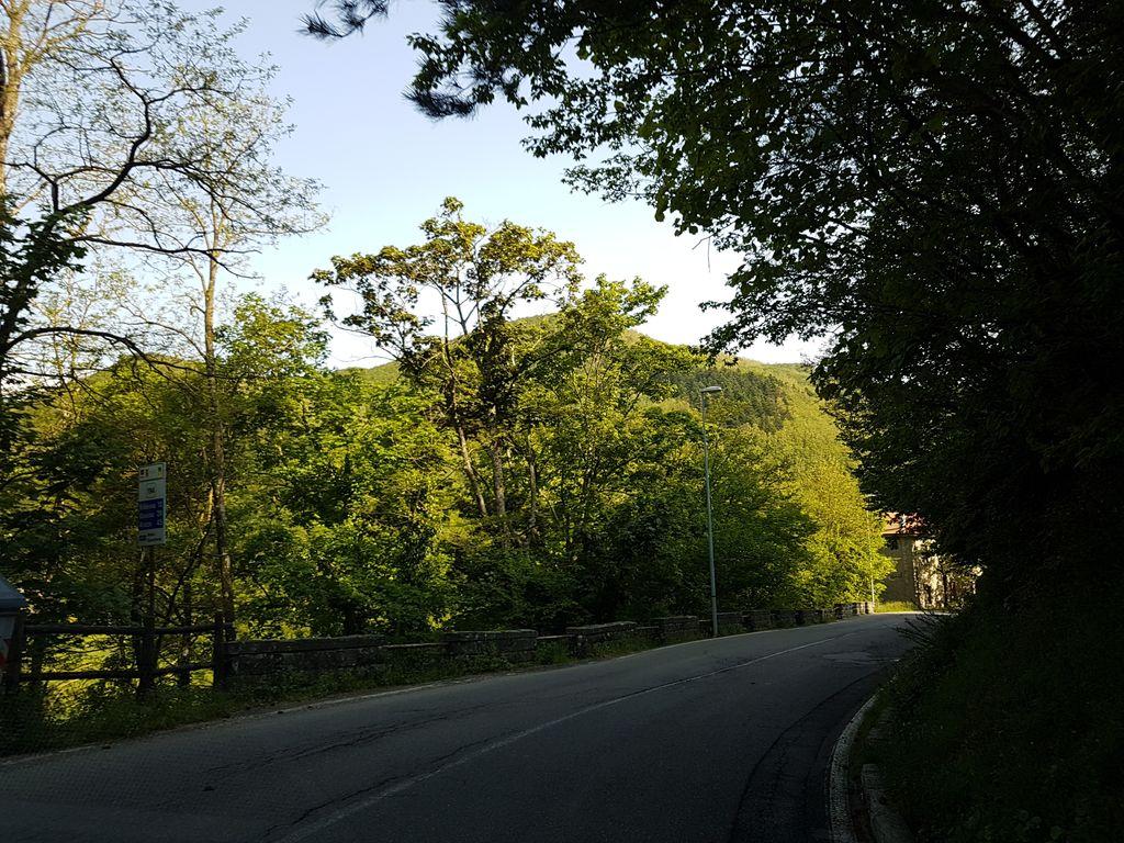 View at km 11.6