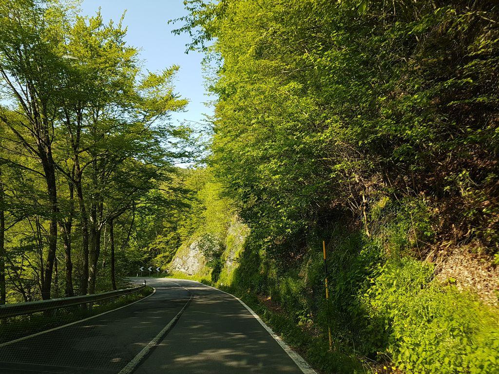 View at km 14.2