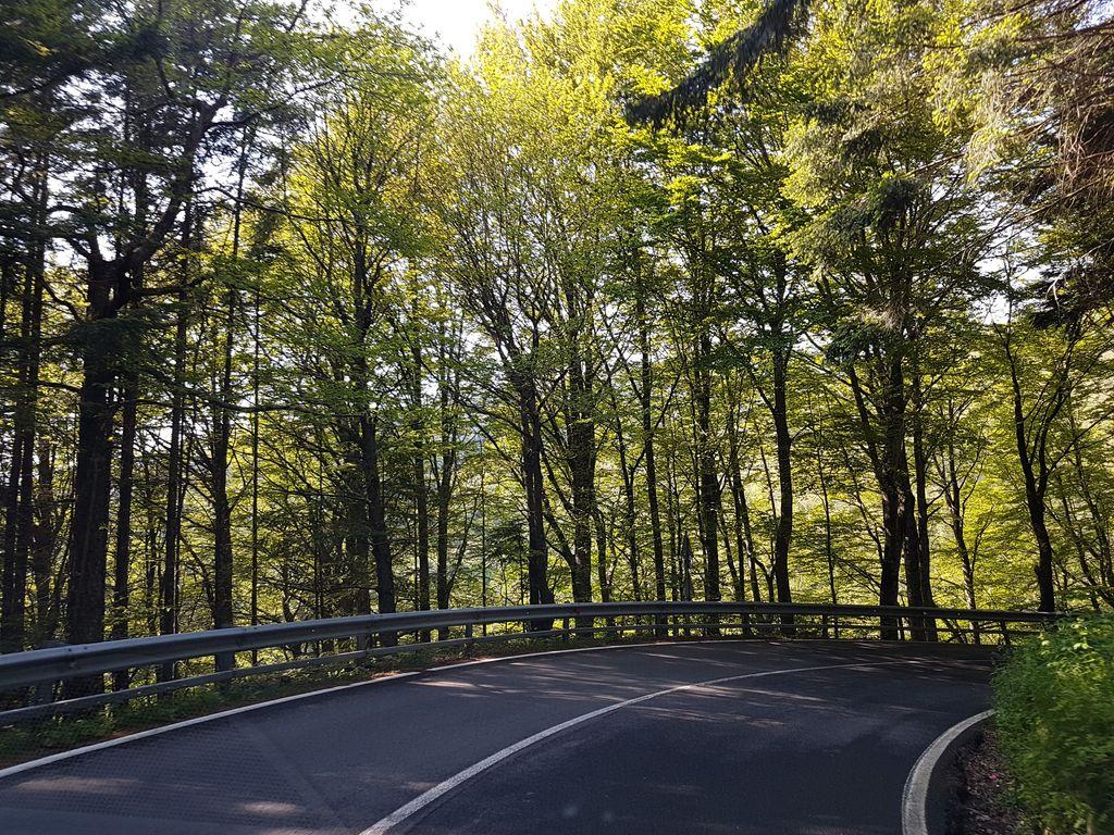 View at km 14.7