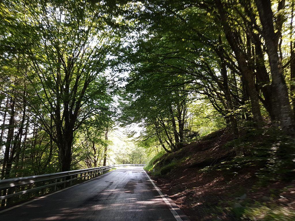 View at km 15.8