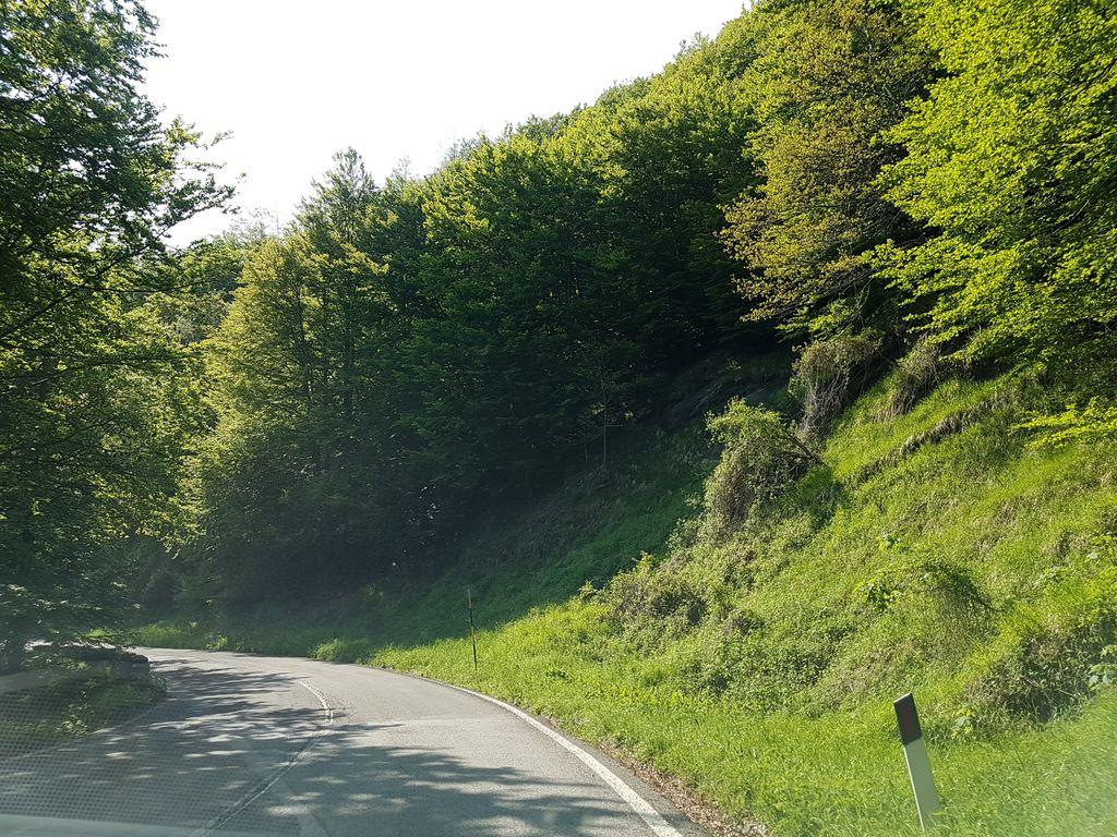 View at km 16.8