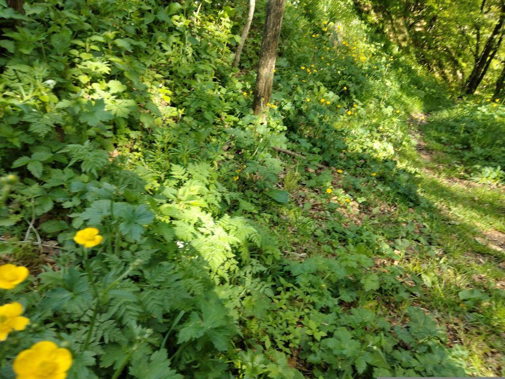 View at km 17.6