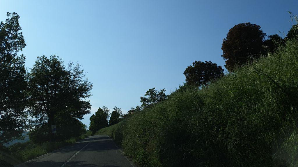 View at km 1.8
