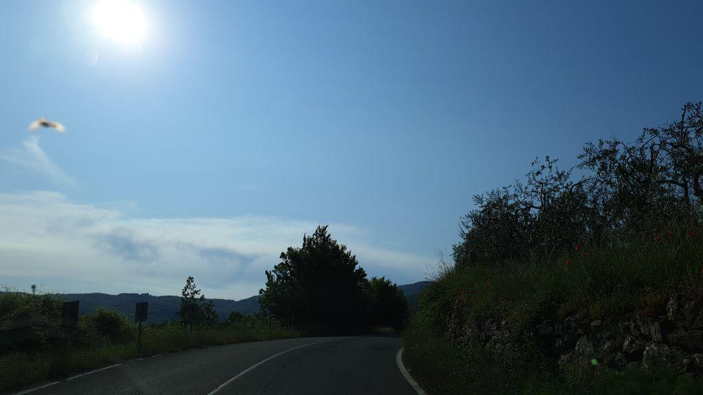 View at km 4.8