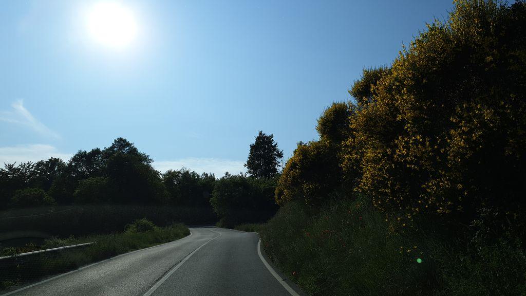 View at km 6.4