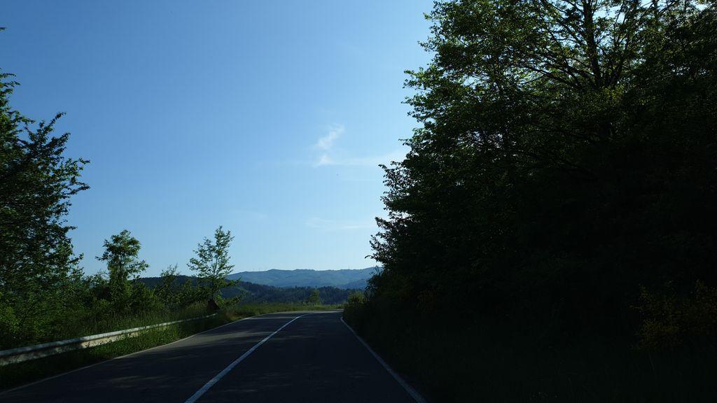 View at km 11.4