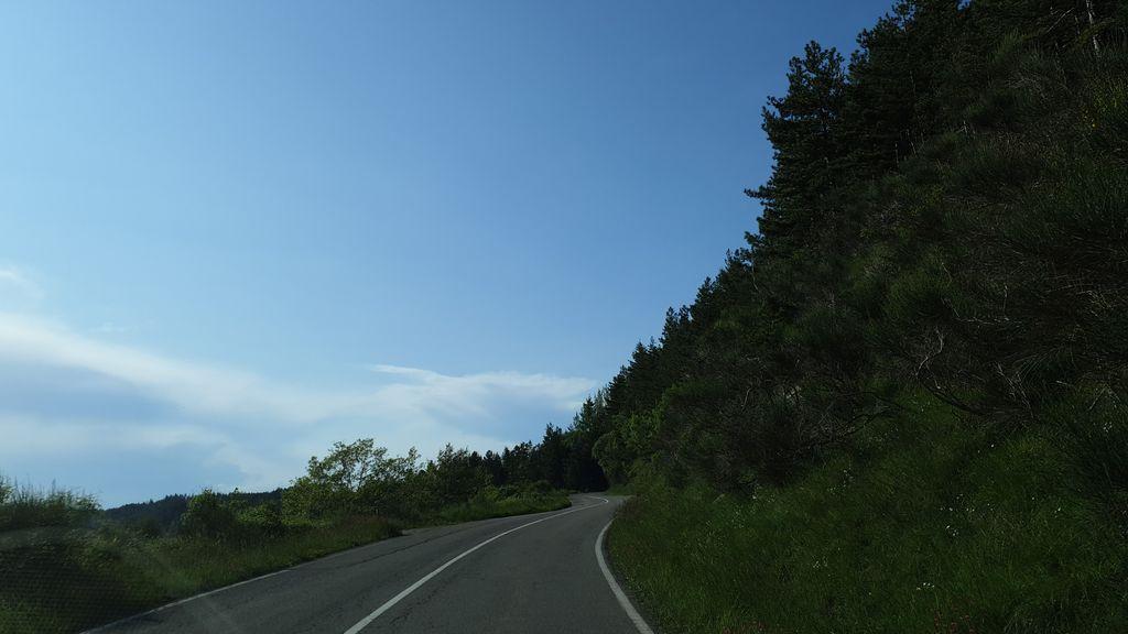 View at km 11.9