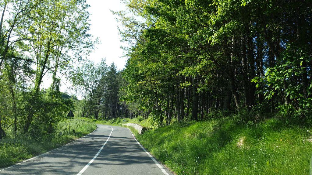 View at km 12.4