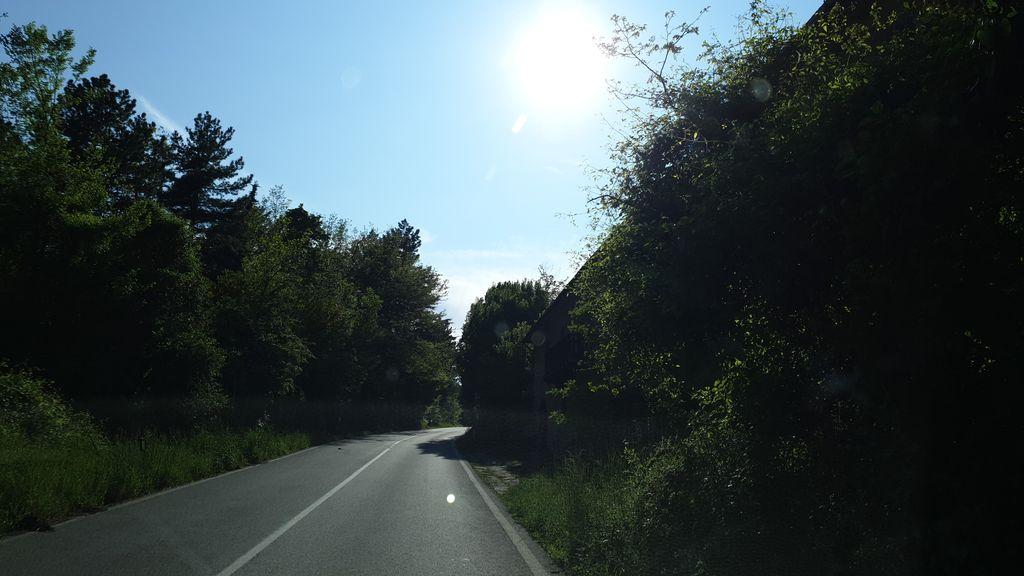 View at km 13.5