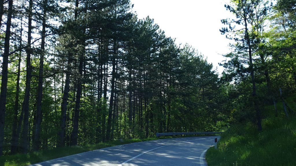 View at km 14.5
