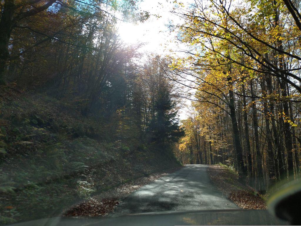 View at km 8.5