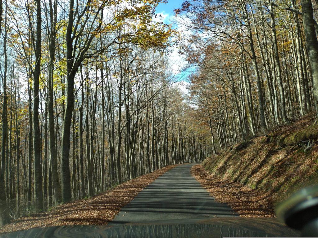 View at km 10