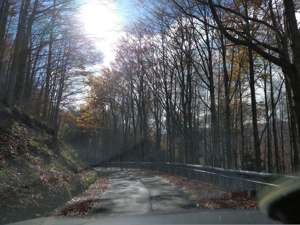 View at km 10.5