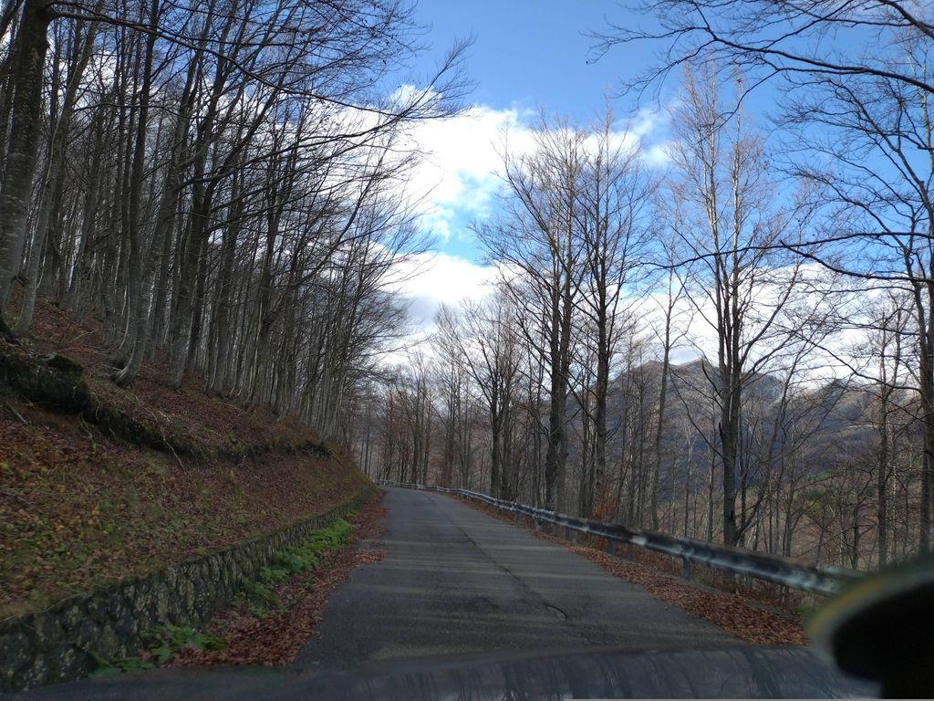 View at km 11