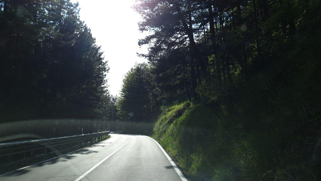 View at km 11.8
