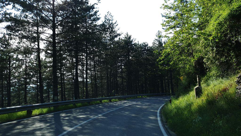 View at km 12.9