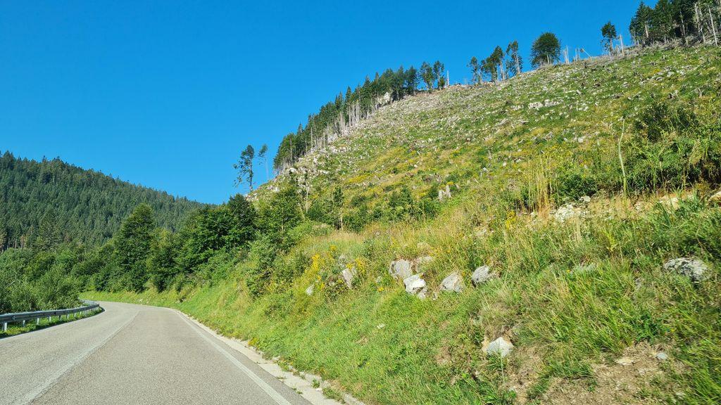 View at km 8