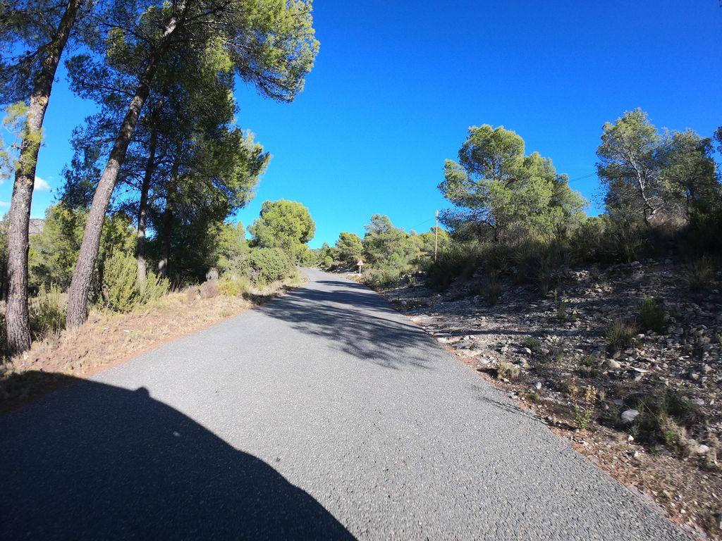 View at km 7.4