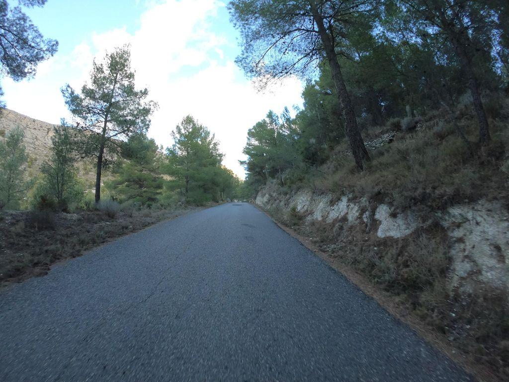 View at km 10