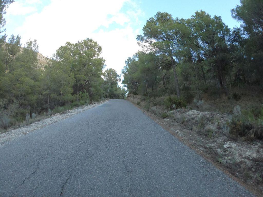 View at km 10.5