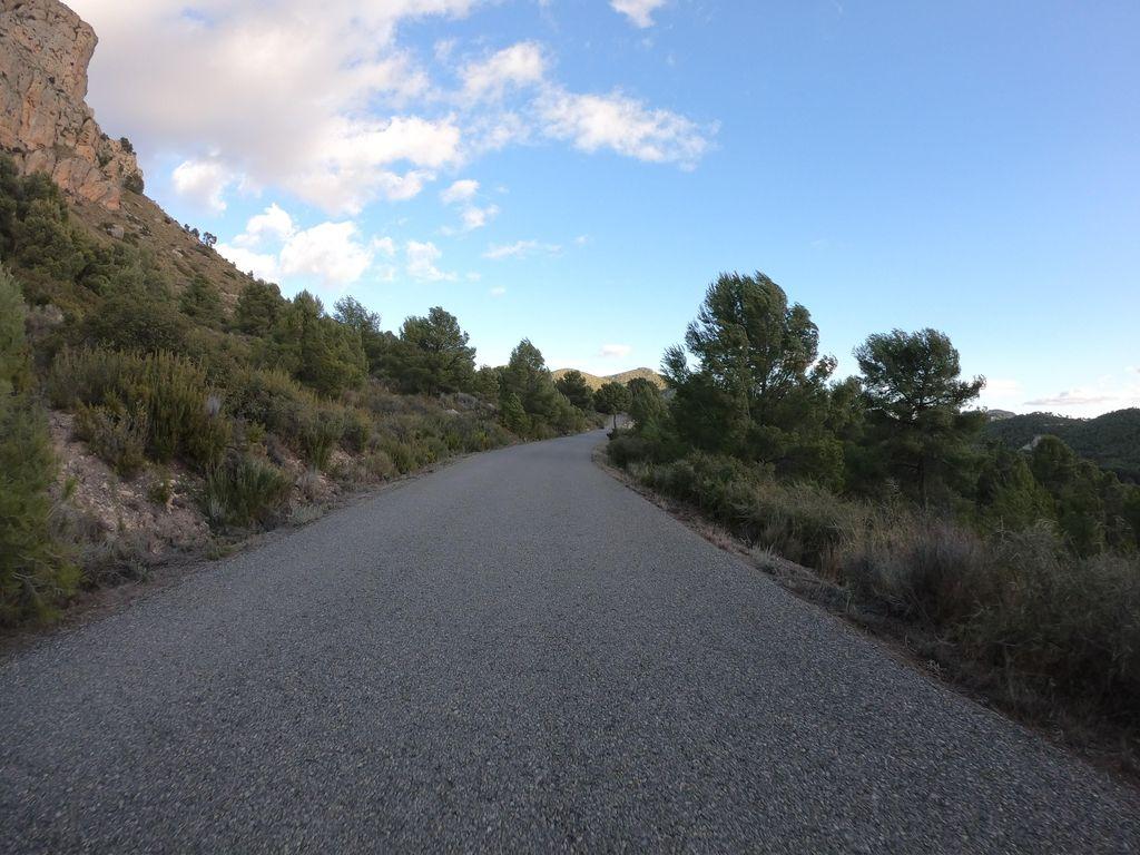 View at km 11