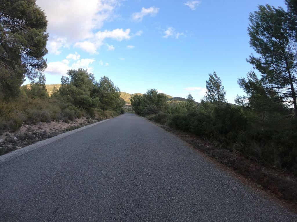 View at km 11.5