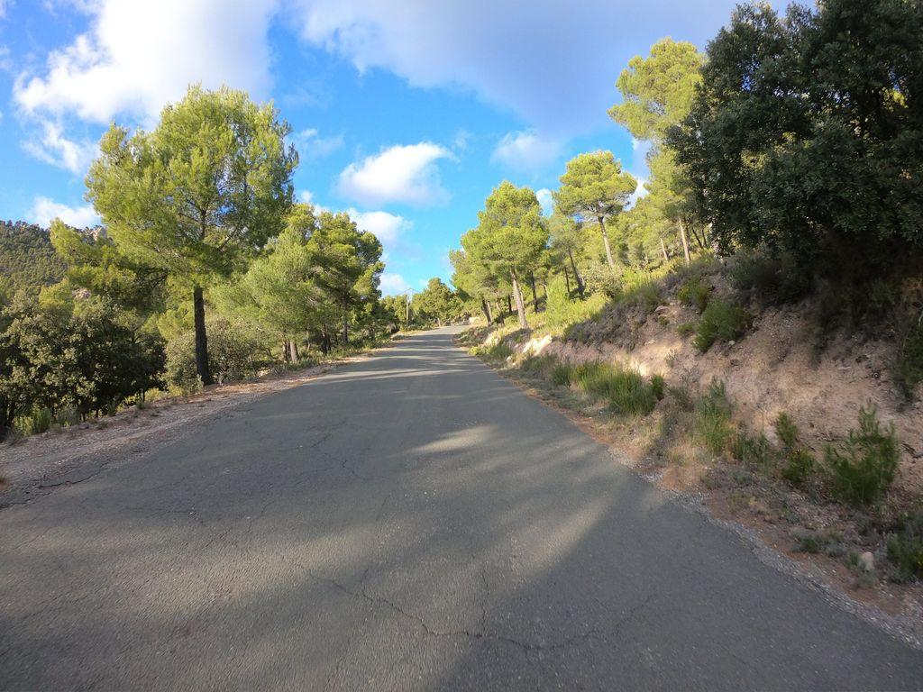 View at km 13.5