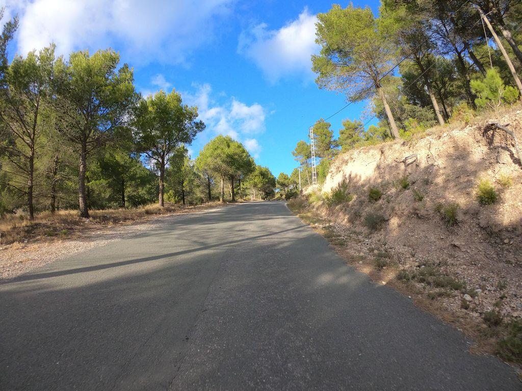 View at km 14
