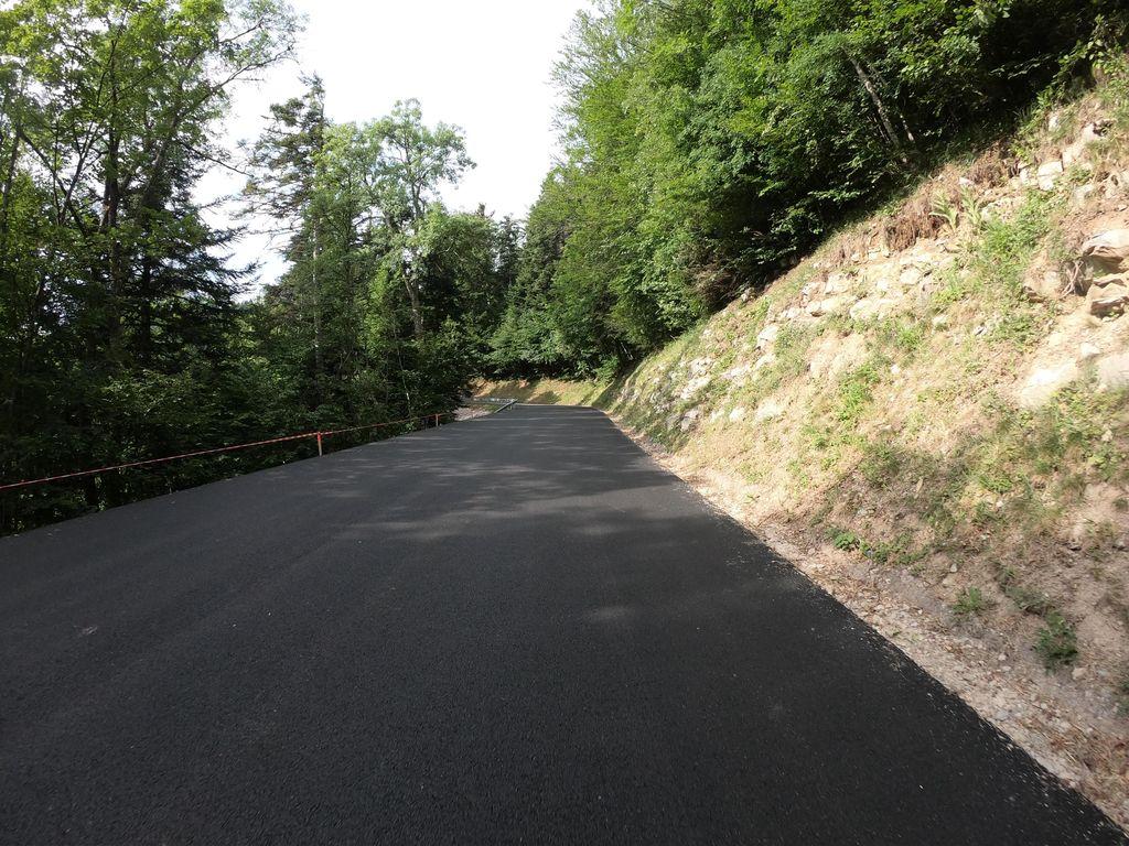 View at km 11