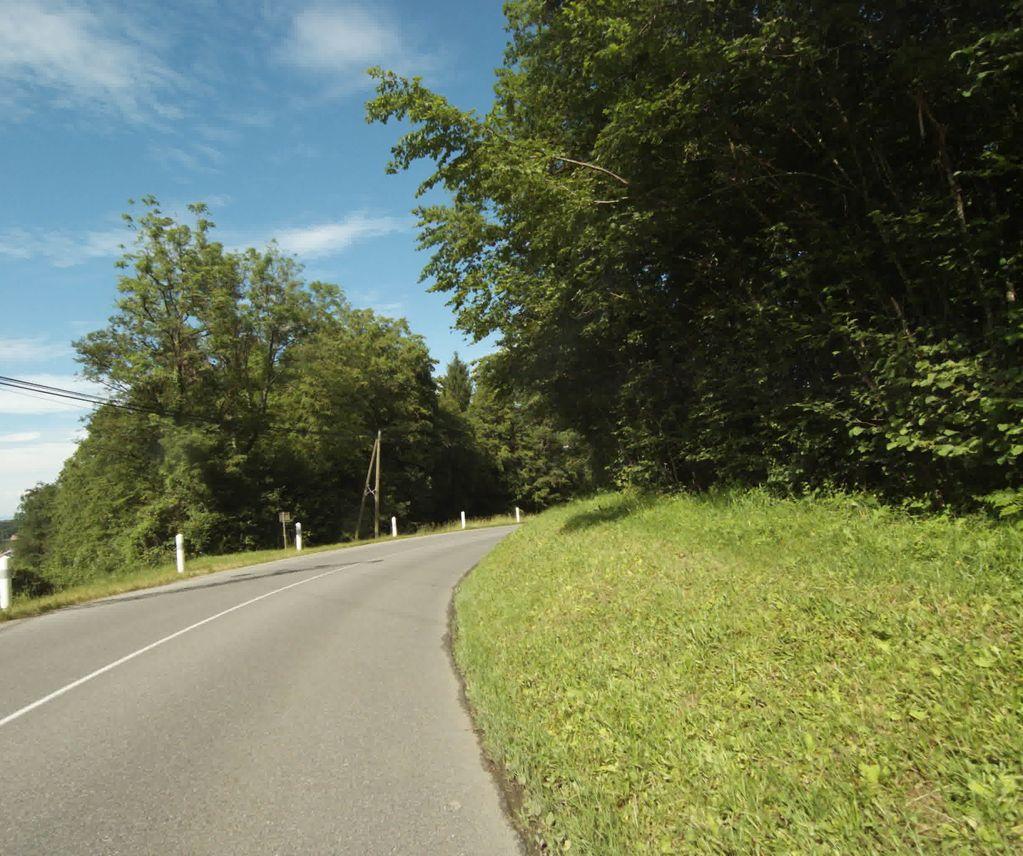 View at km 1.3