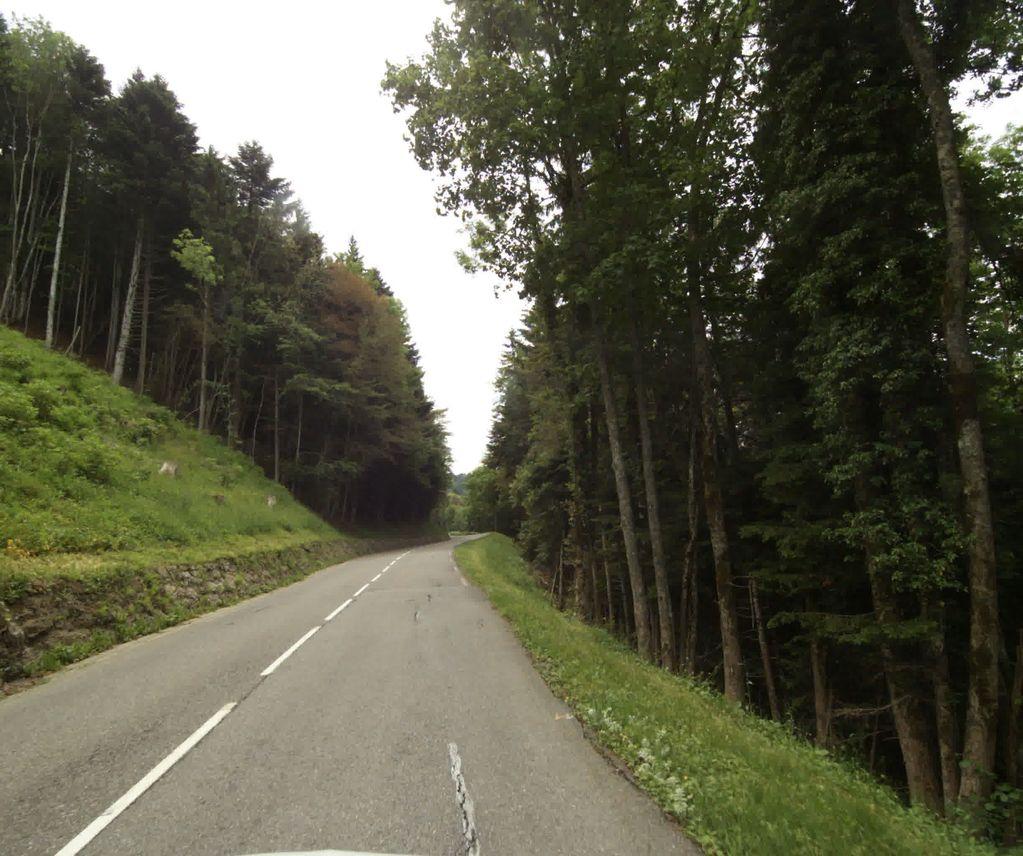 View at km 11.3
