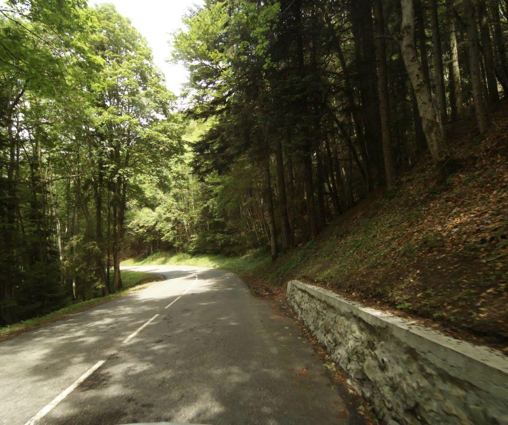View at km 11.8