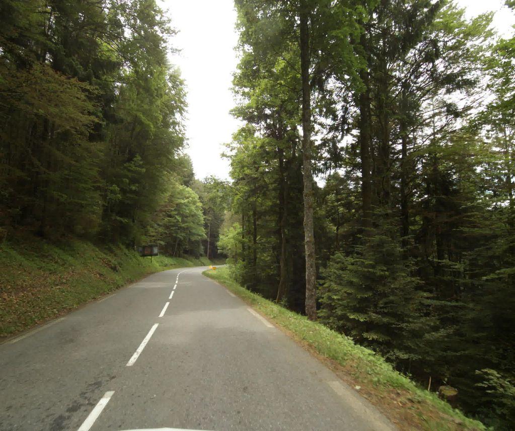 View at km 12.8