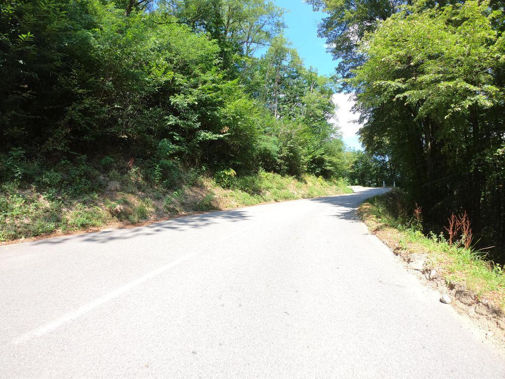 View at km 1.3