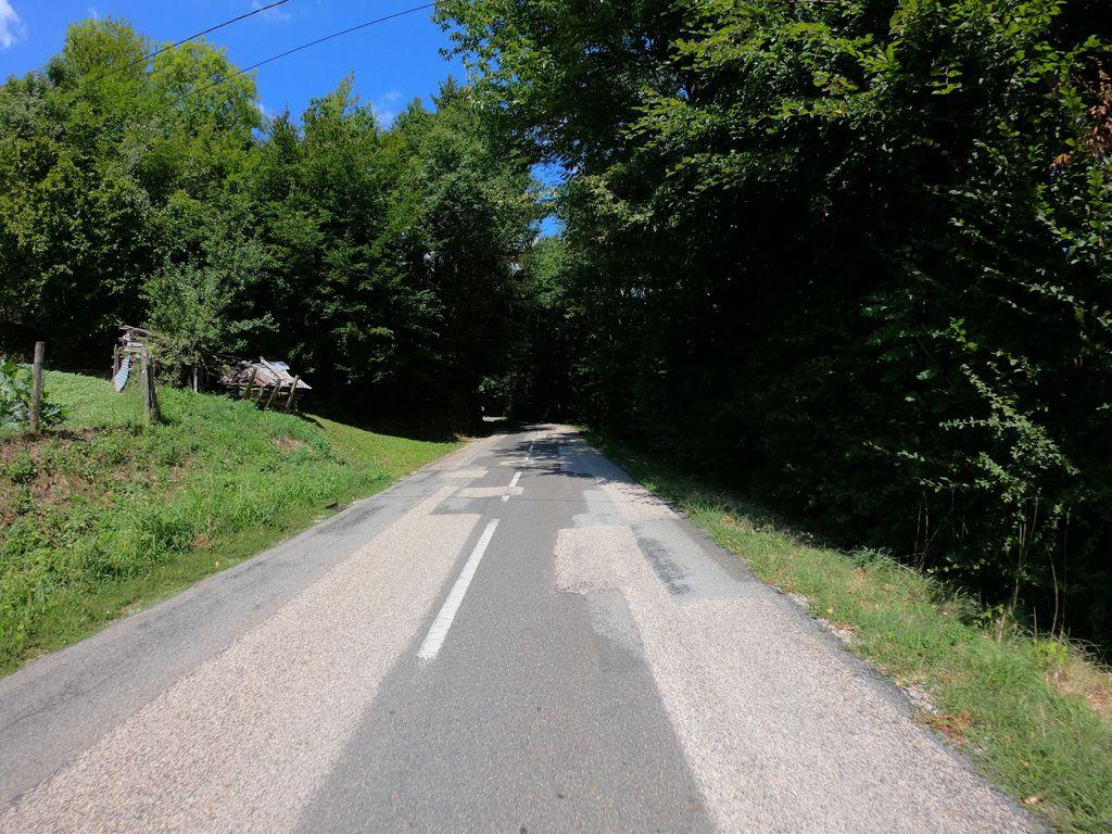 View at km 2.3