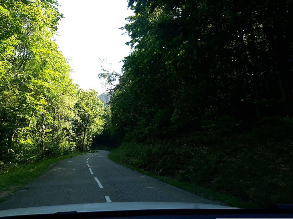 View at km 11