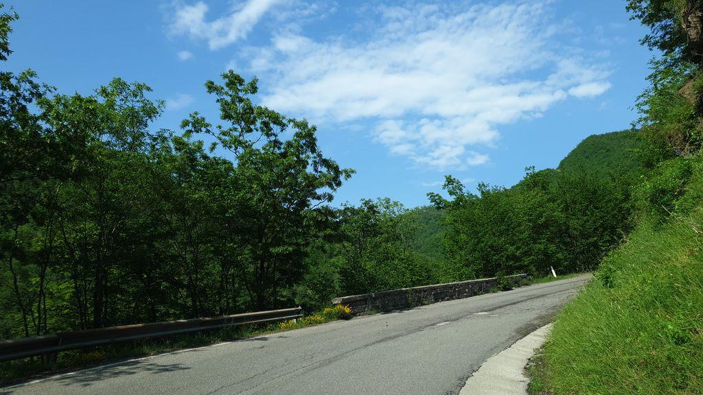 View at km 2.4