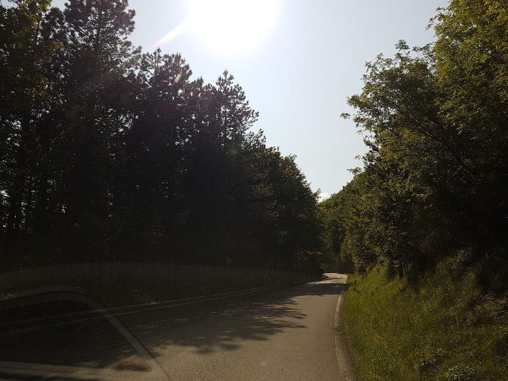 View at km 5