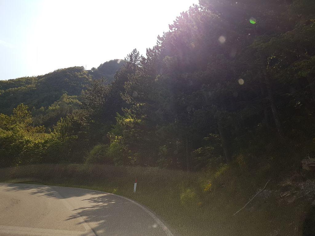 View at km 7.6