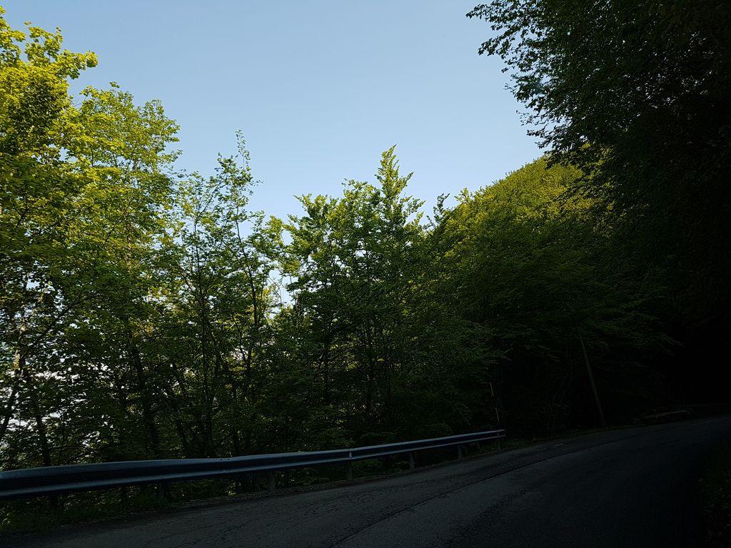 View at km 10.2
