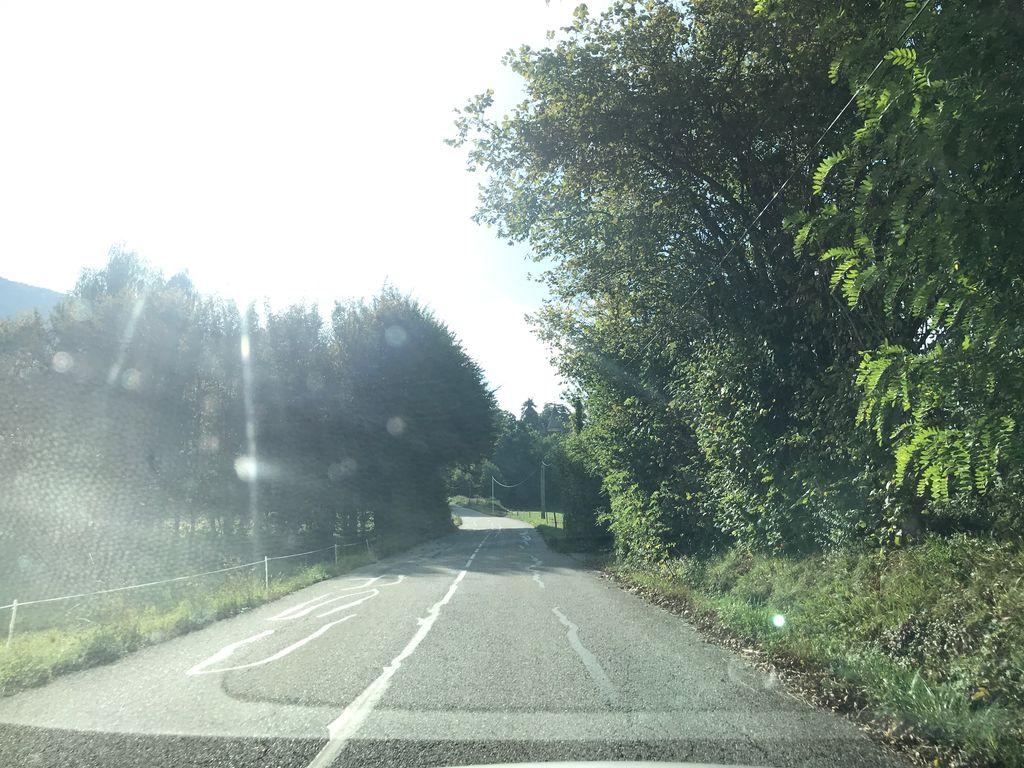 View at km 0.3