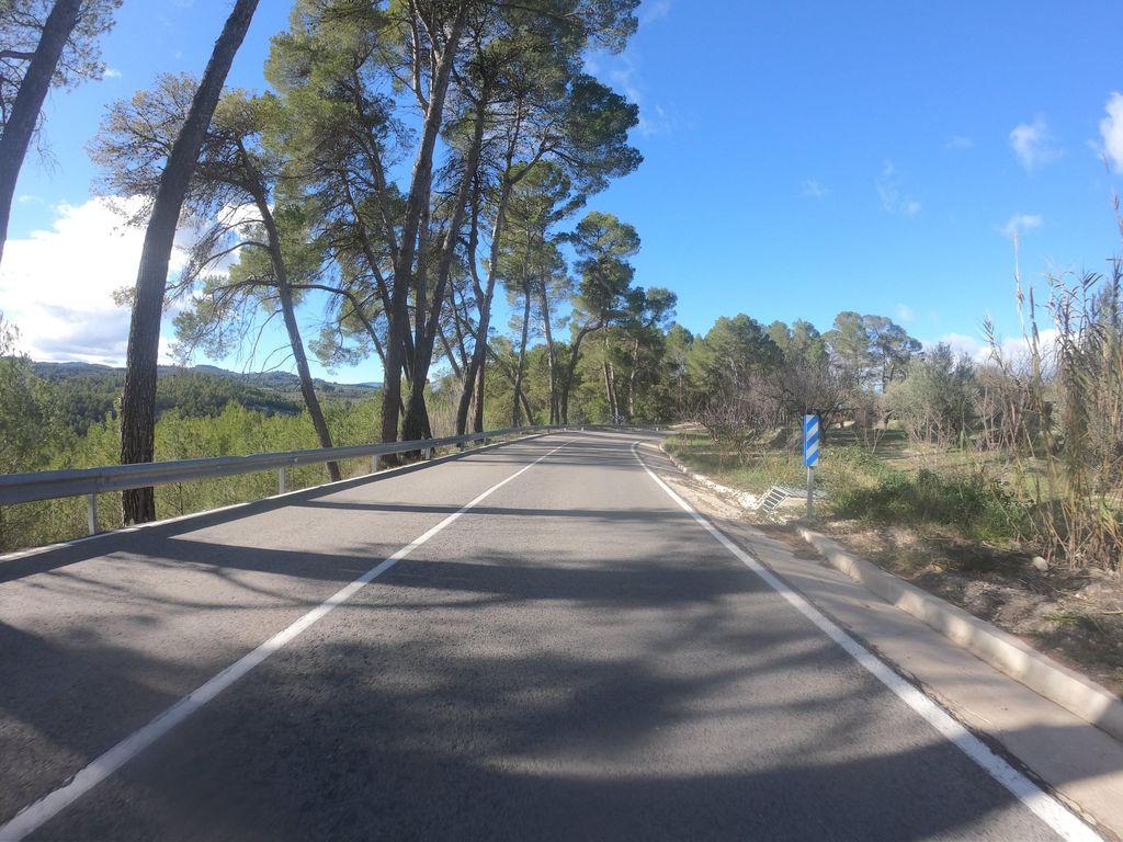 View at km 1.3