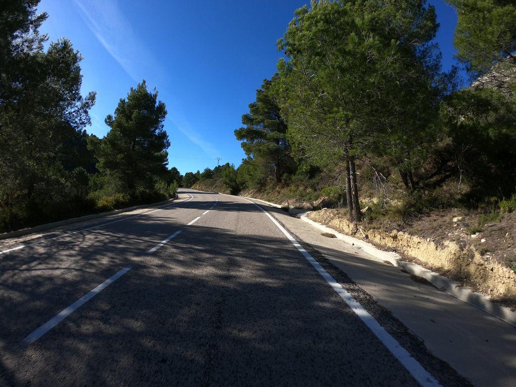 View at km 11.8