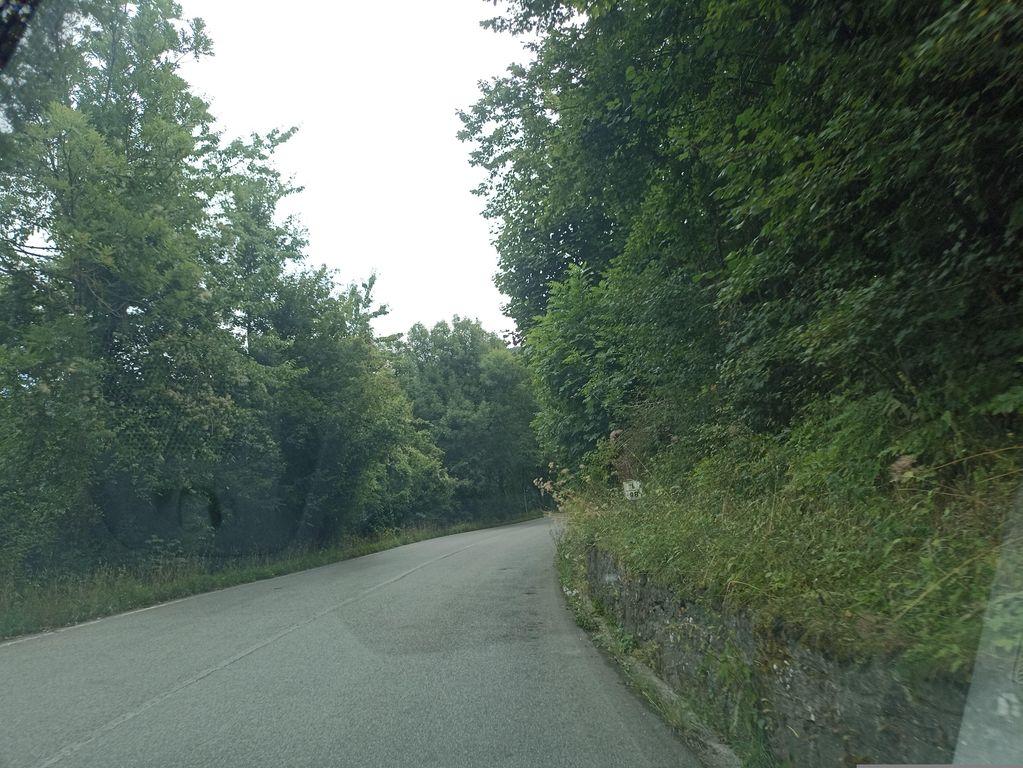 View at km 1.9