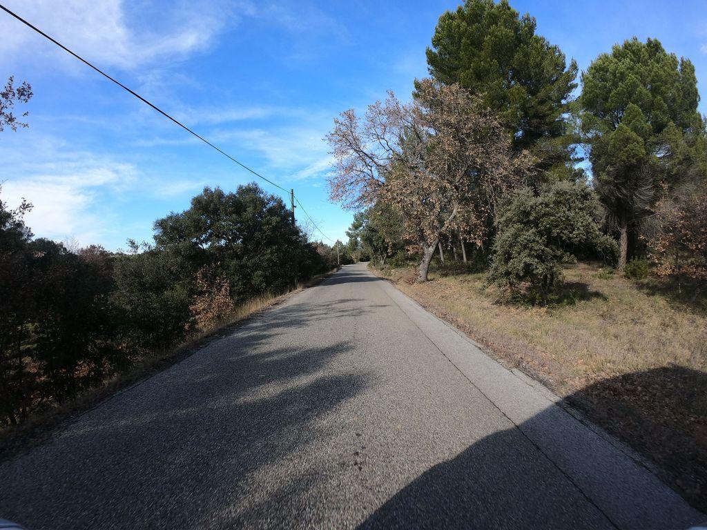 View at km 1.3