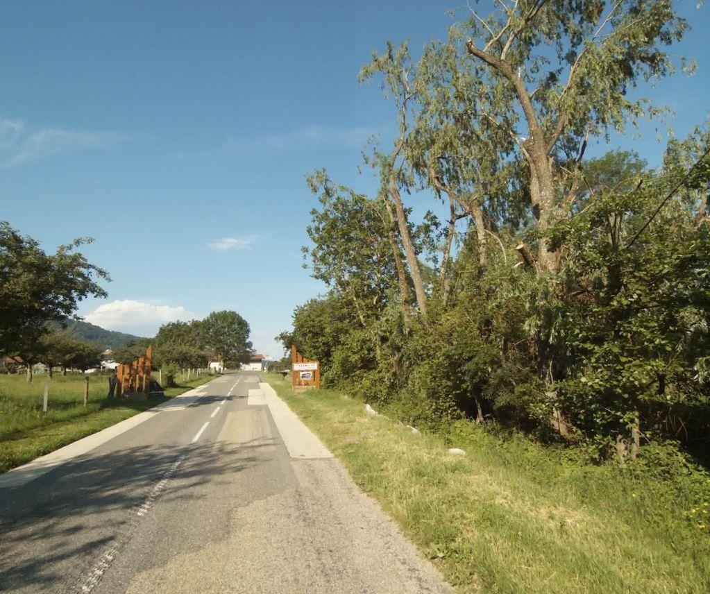 View at km 0.3