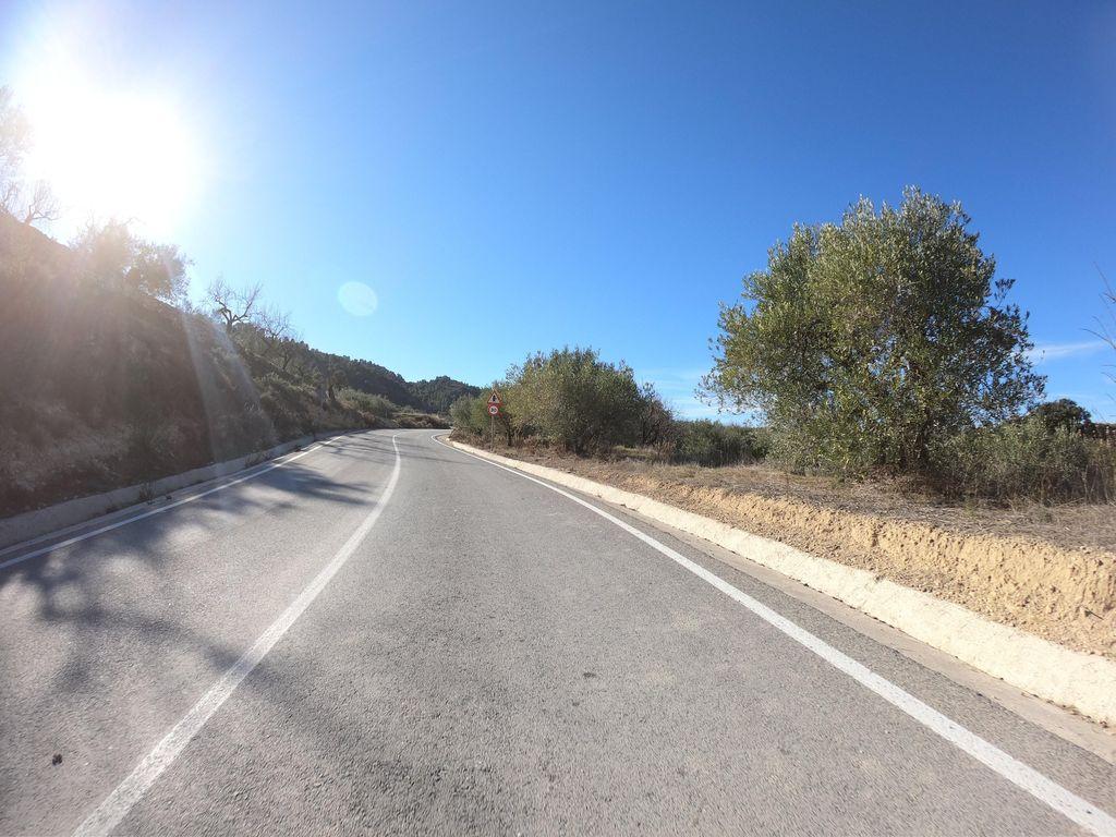 View at km 1.9
