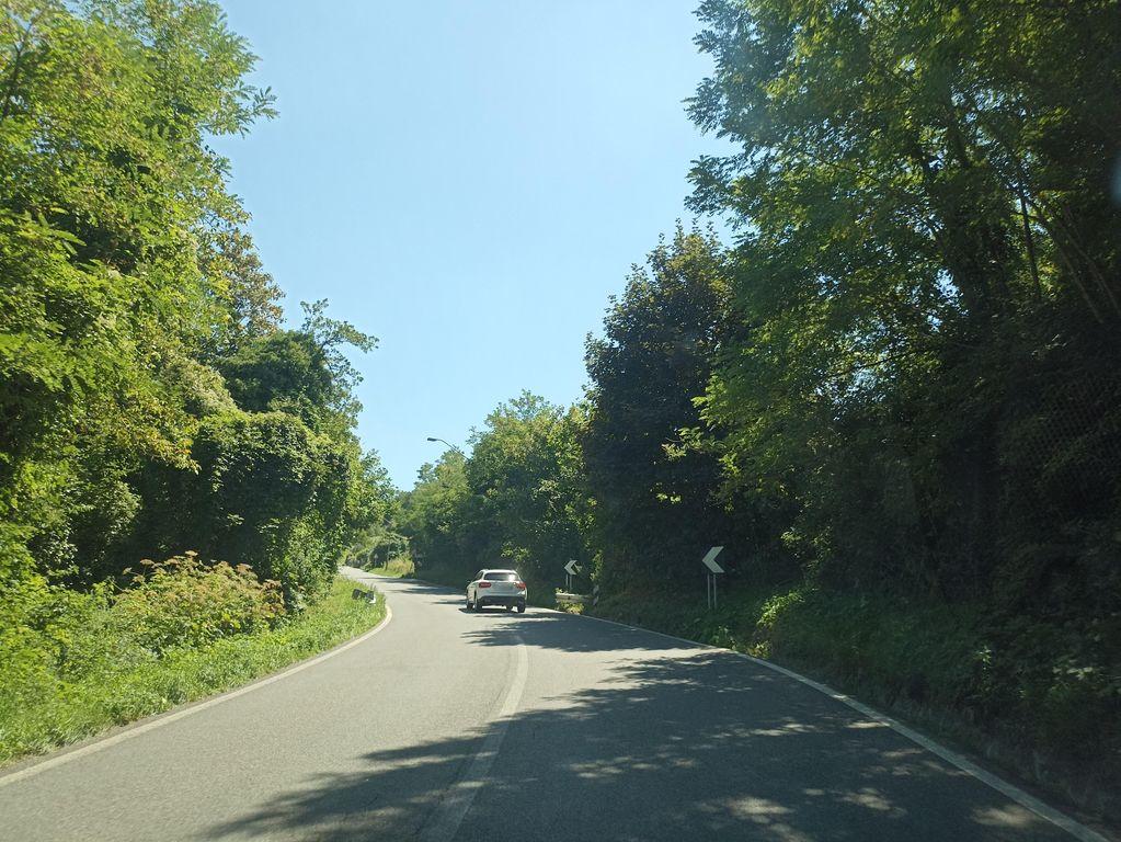 View at km 6.1