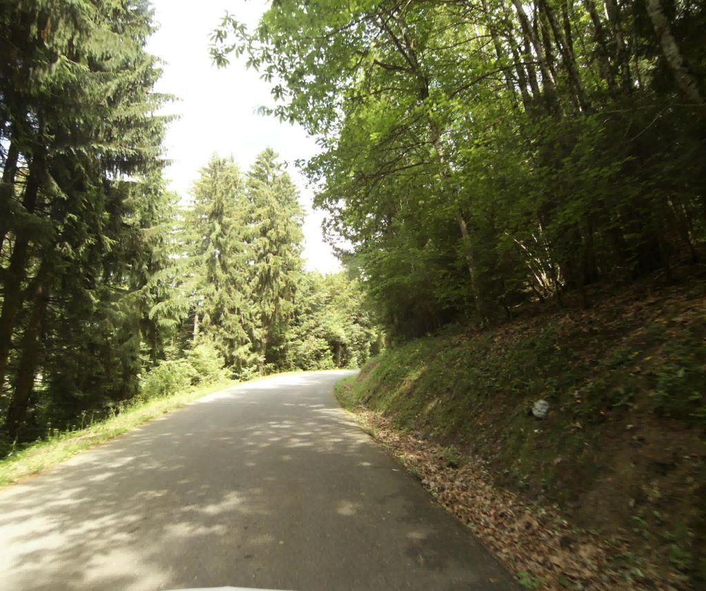 View at km 0.3