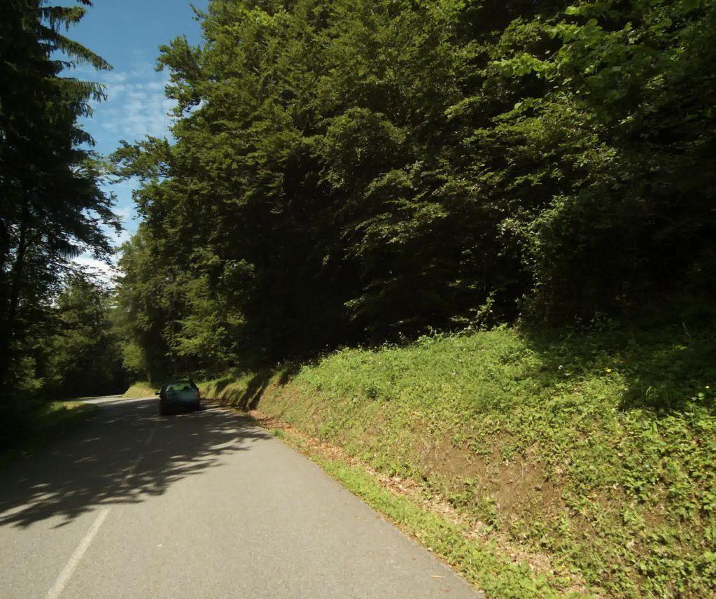 View at km 0.8